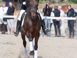 IMG_8071_web